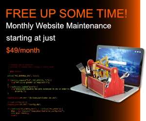 Monthly Website Maintenance